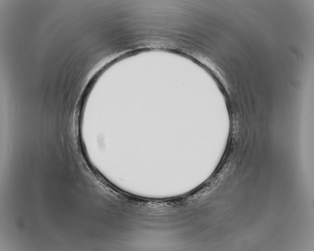 X0000112040983200909141113