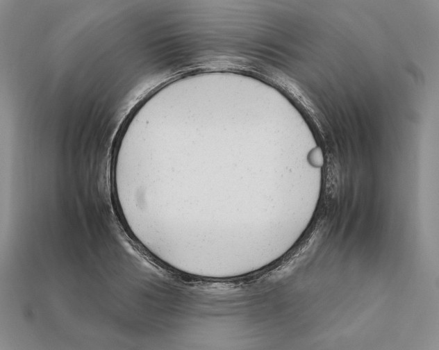 X0000112040986200909141113