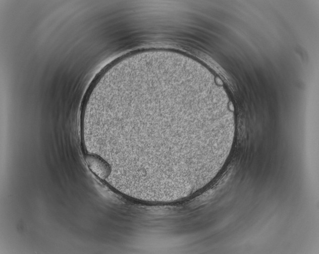 X0000112040988200909141113