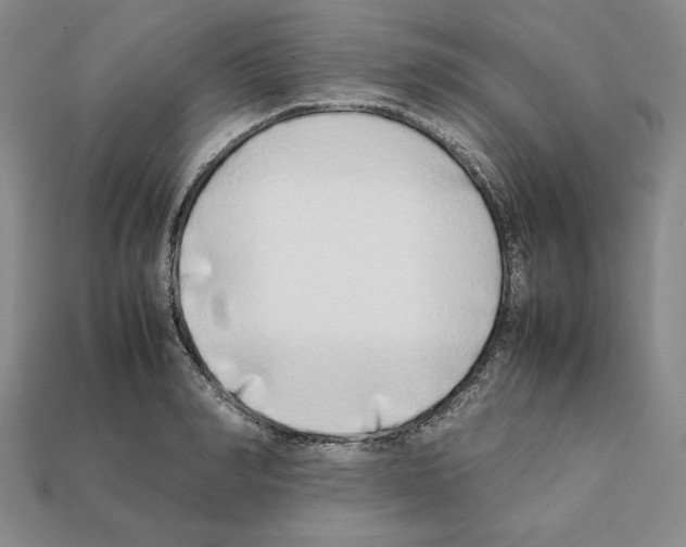 X0000112040990200909141113