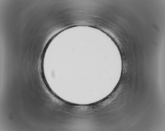 X0000112040991200909141113