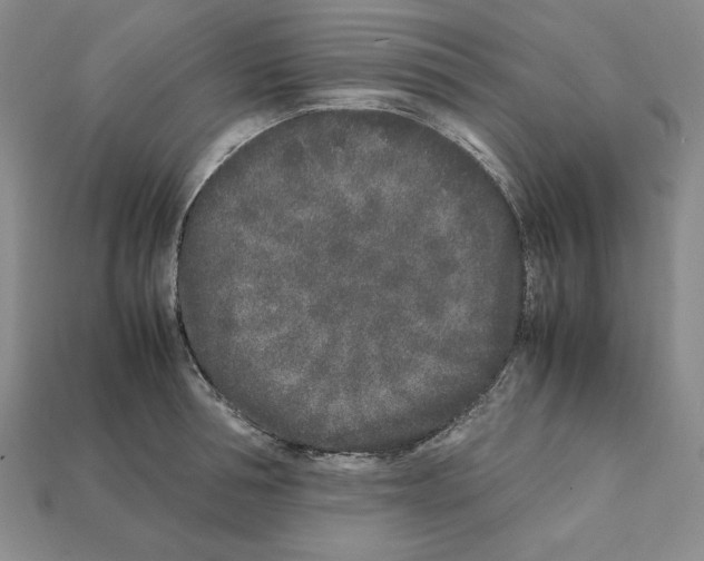 X0000112040994200909141113