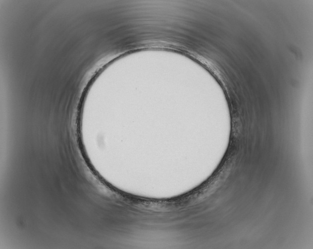 X0000112040995200909141113