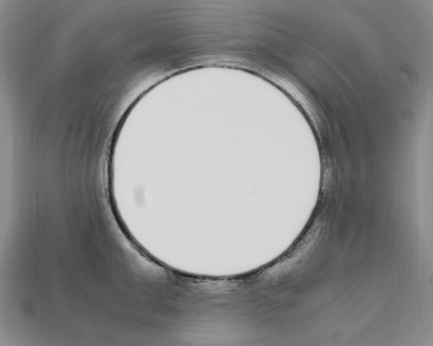 X0000112040999200909141113