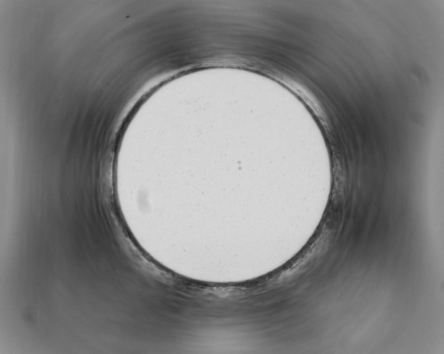 X0000112041000200909141113