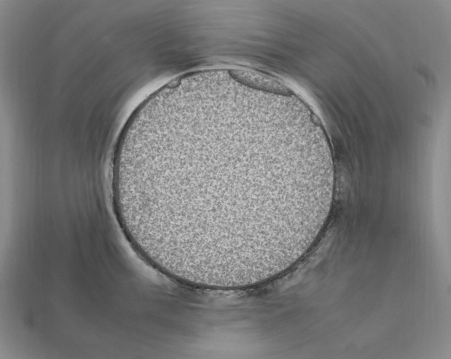 X0000112041003200909141113