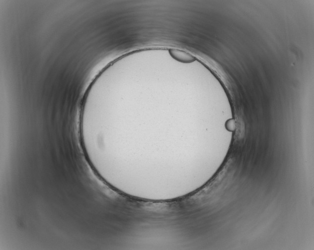 X0000112041006200909141113