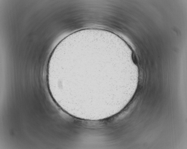 X0000112041007200909141113