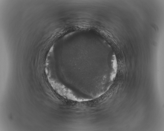 X0000112041009200909141113