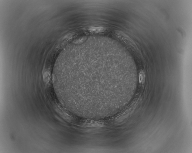 X0000112041011200909141113