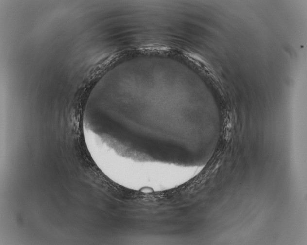 X0000112041013200909141113