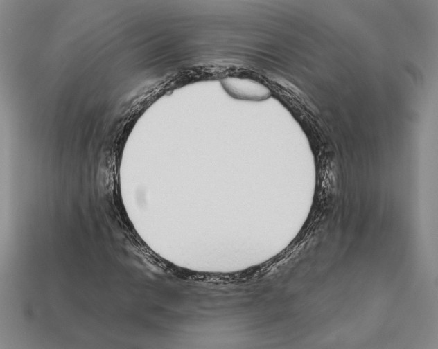 X0000112041014200909141113