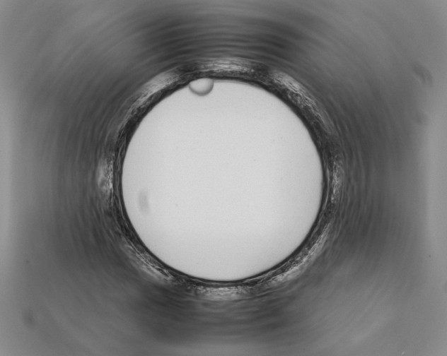 X0000112041017200909141113