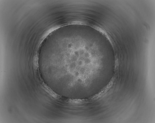 X0000112041019200909141113
