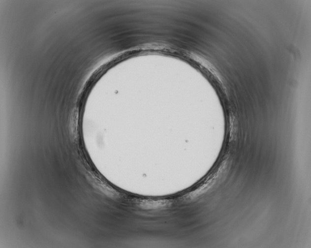 X0000112041021200909141113
