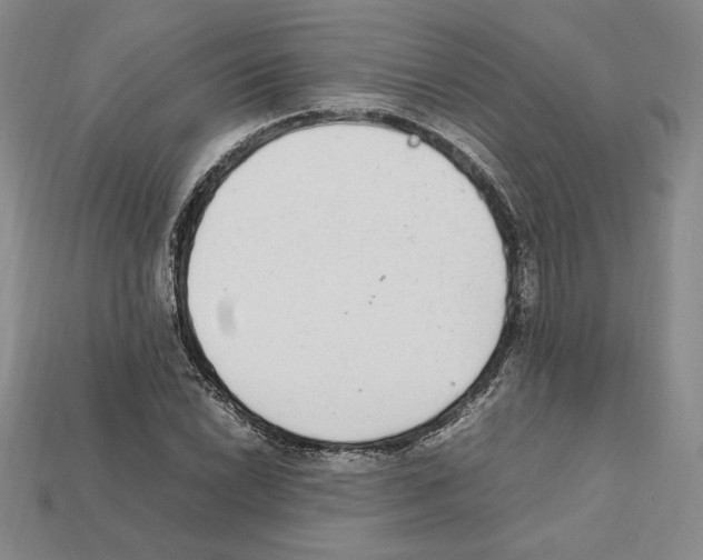 X0000112041022200909141113