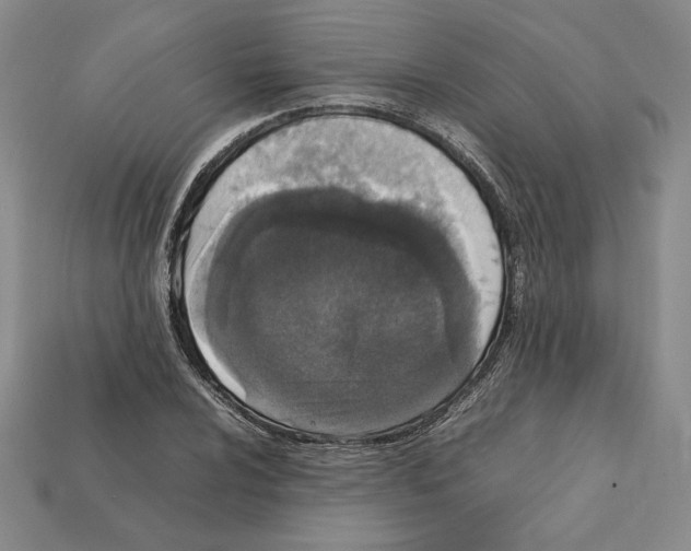 X0000112041024200909141113