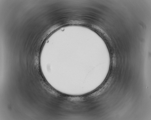 X0000112041025200909141113