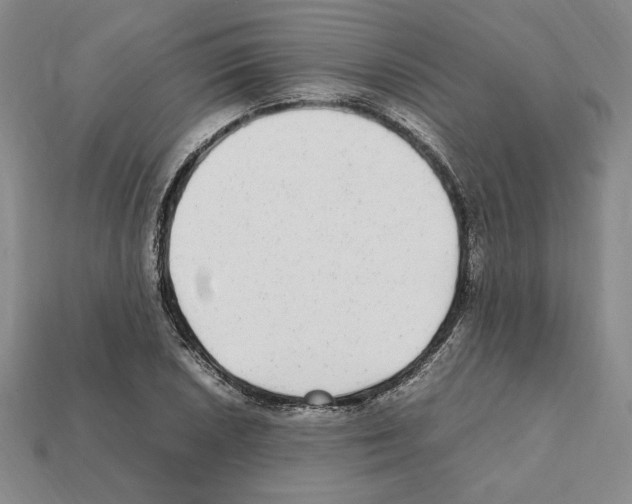 X0000112041026200909141113