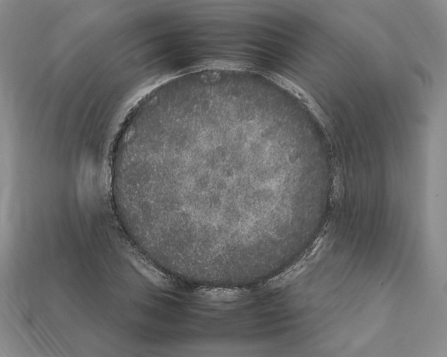 X0000112041027200909141113