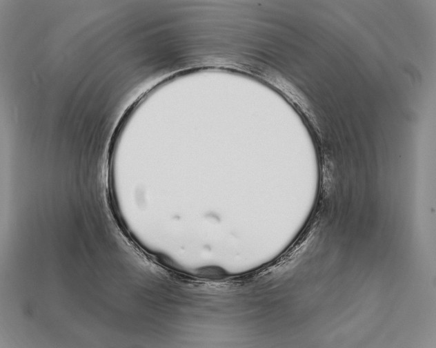 X0000112041028200909141113