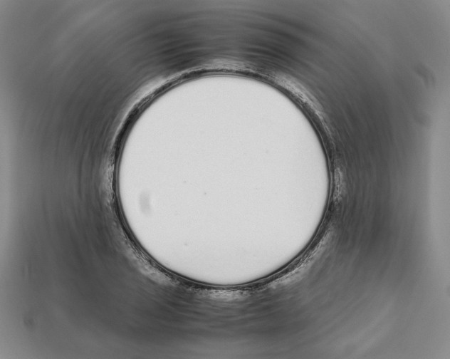 X0000112041029200909141113