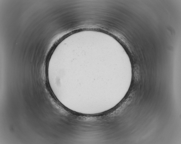 X0000112041030200909141113