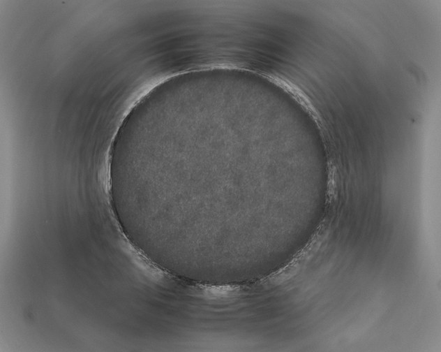 X0000112041031200909141113