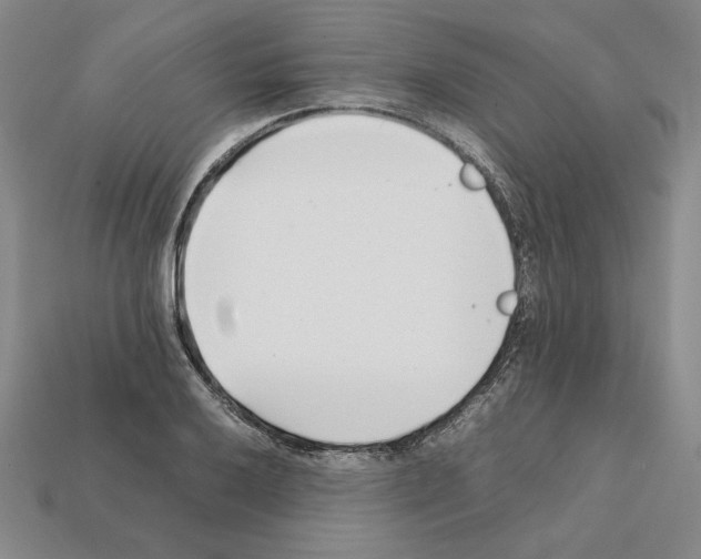X0000112041032200909141113