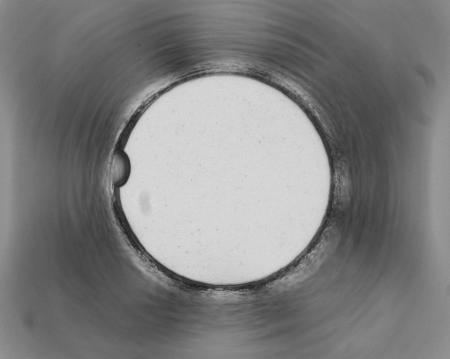 X0000112041034200909141113
