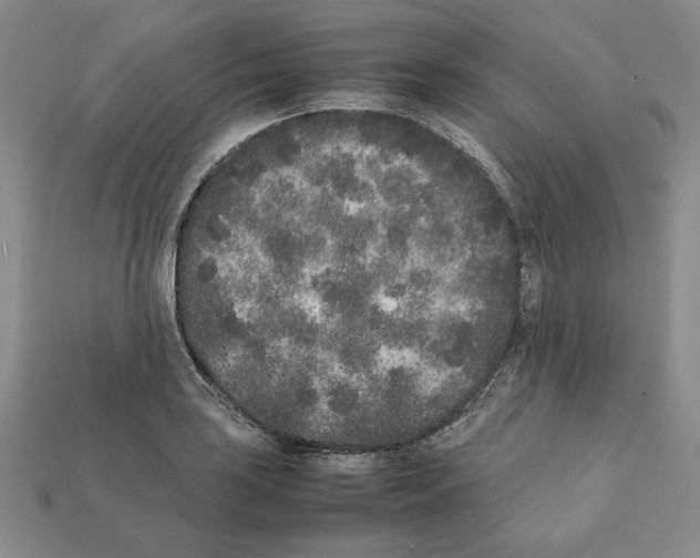 X0000112041035200909141113