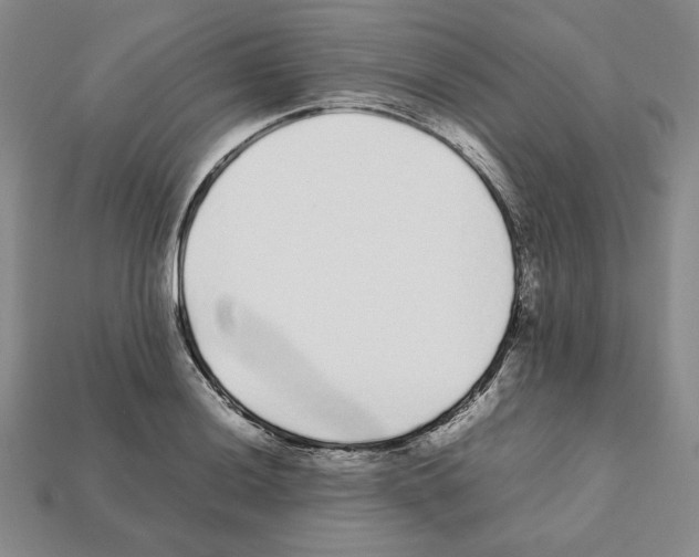 X0000112041036200909141113