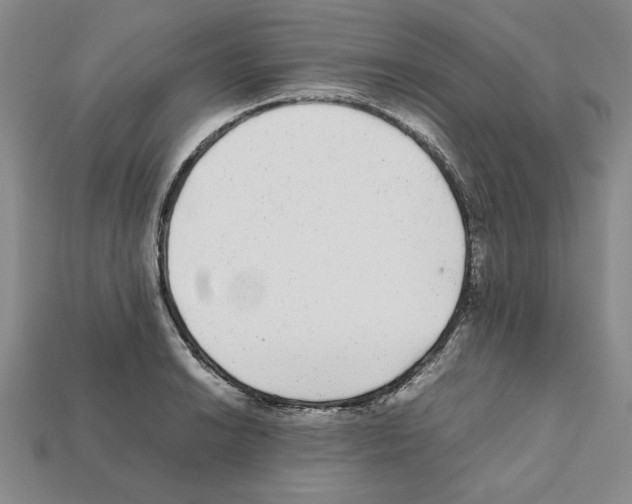 X0000112041038200909141113