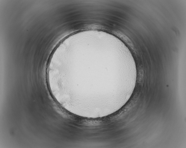X0000112041039200909141113