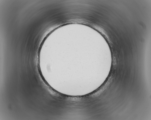 X0000112041040200909141113