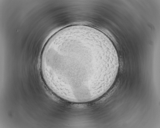 X0000112041044200909141113