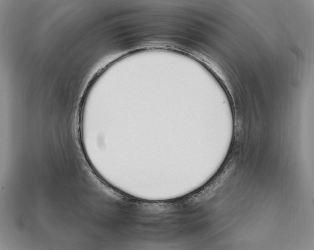 X0000112041045200909141113