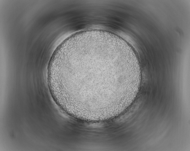 X0000112041047200909141113