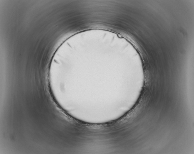 X0000112041048200909141113