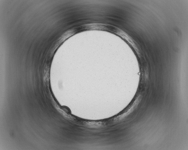 X0000112041049200909141113