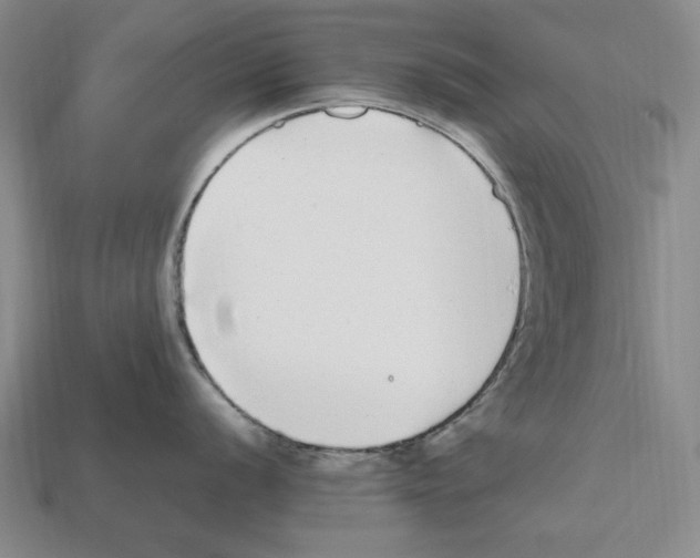X0000112041056200909141113