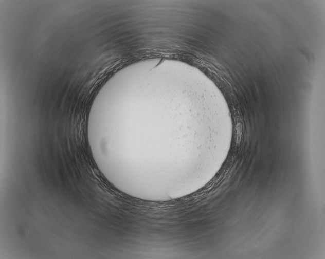 X0000112041060200909141112