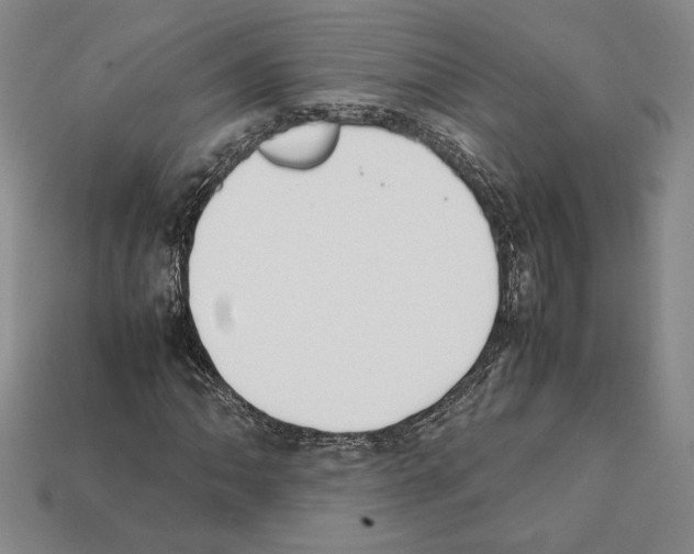 X0000112041062200909141112