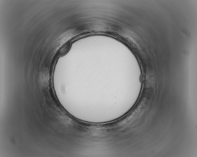 X0000112041065200909141112