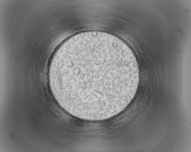 X0000112041071200909141112
