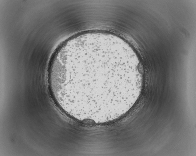 X0000112041072200909141112