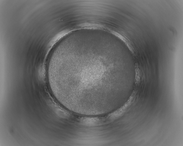 X0000112041074200909141112