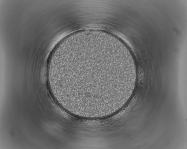 X0000112041075200909141112