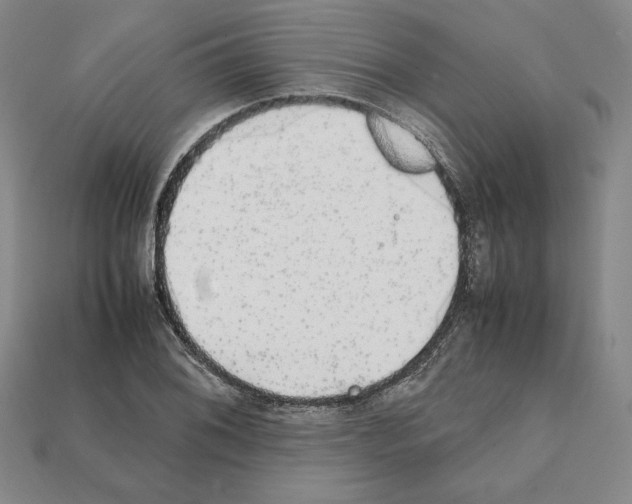 X0000112041076200909141112