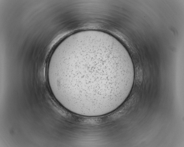 X0000112041078200909141112